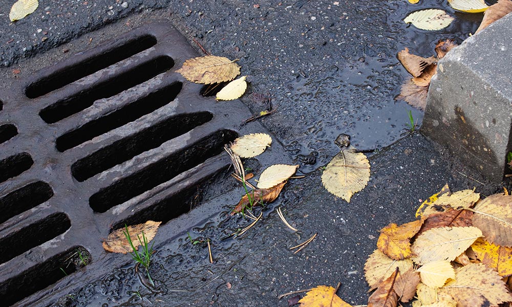 blocked-stormwater-drain