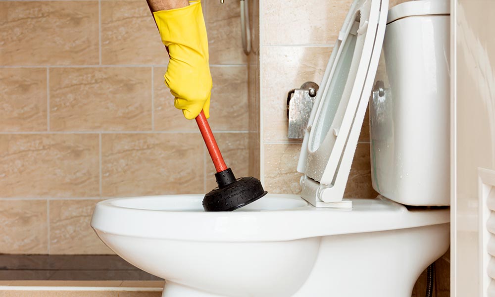 blocked-toilet-drain