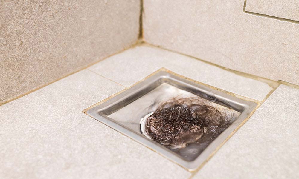 blocked shower drain