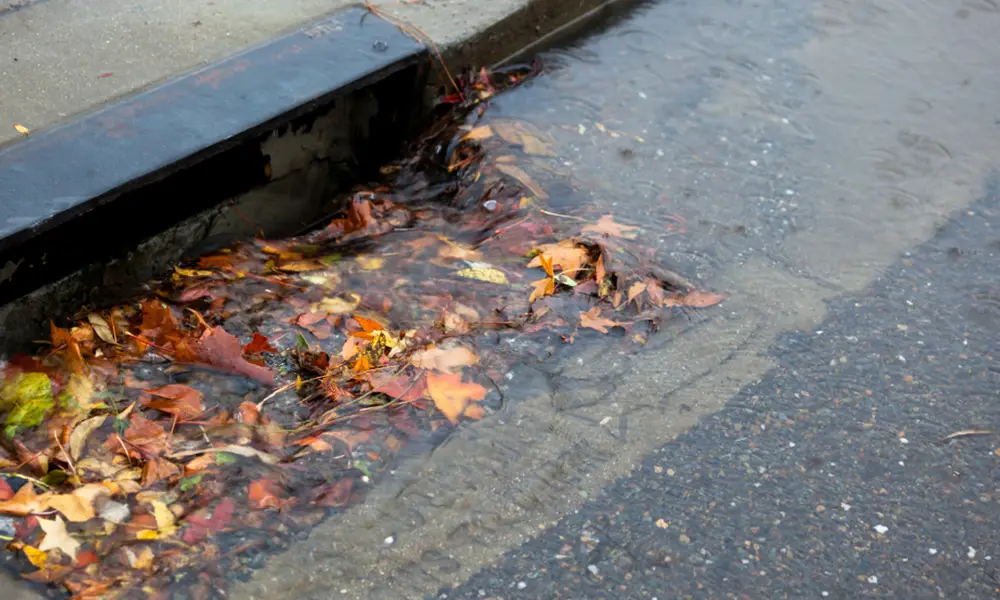 Blocked Stormwater Drains in Sydney
